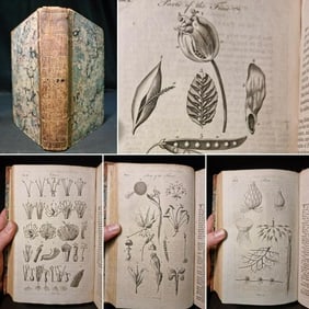 1797 Universal Magazine BOTANY PLATES Flowers FRUIT 12 Copper Engraved Plates