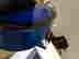 item-85416483=4