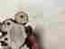 item-127065096=12