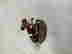 item-127065096=3