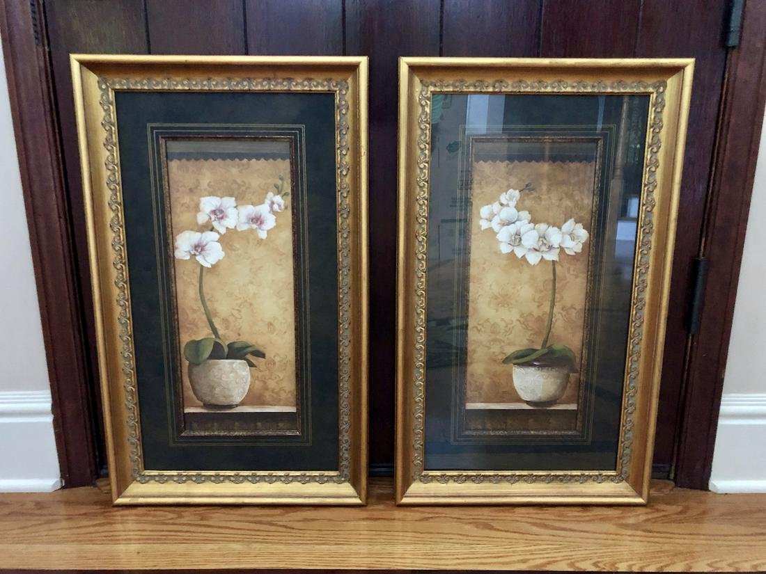 Framed Orchid Prints Pair of Two (1 of 3)