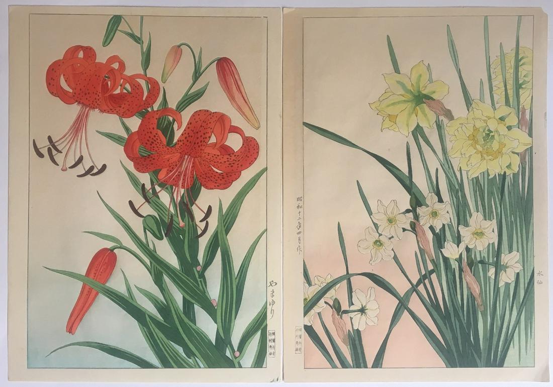 2 Nishimura Hodo Woodblock Prints: Flowers, 1930â€™s: Lot of Two Japanese woodblock prints Artist: Nishimura Hodo. Subject: Mountain Lillies & Daffodils. Date: Late 1930â€™s. Size: Oban designs measures 10.75" x 15.5". Condition: Excellent color & i