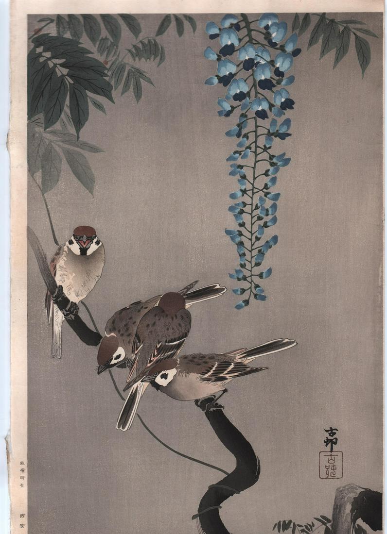 Ohara Koson woodblock: Sparrows & Wisteria, 1930: Japanese woodblock print. Artist: Ohara Koson. Subject: Sparrows & wisteria. Publisher: Nishinomiya Yosaku . Date: c.1930's. Size: Dai-oban design measures 10.75" x 17.25". Condition: Excellent co