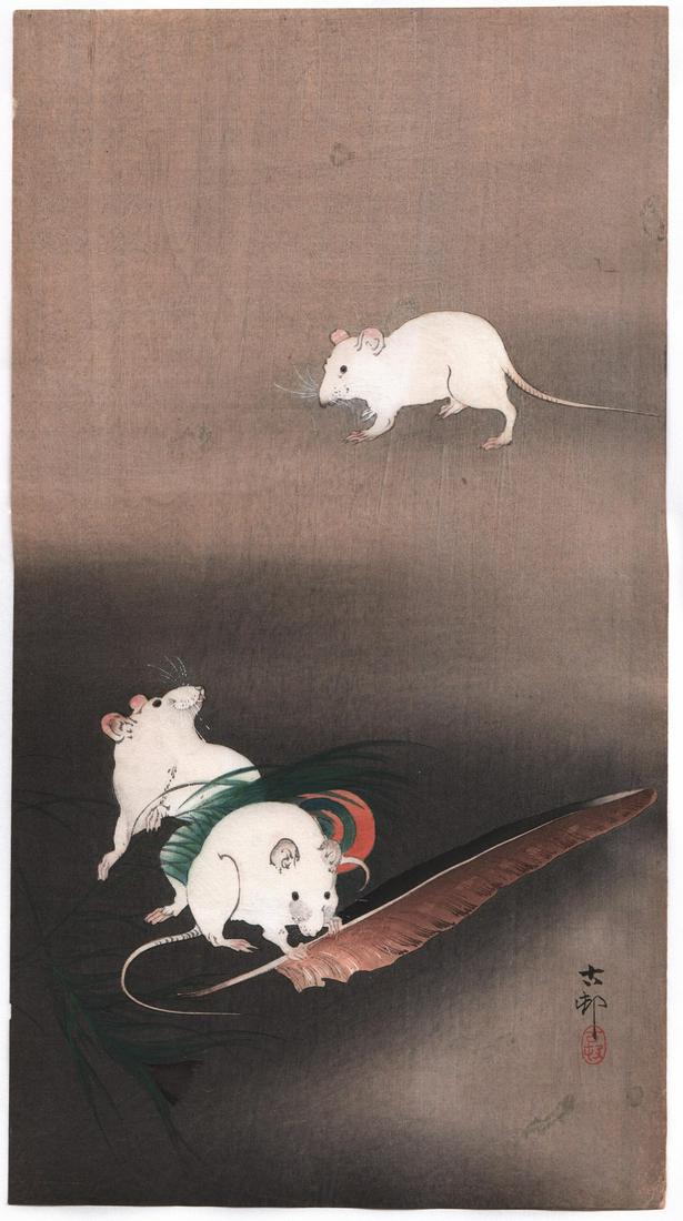 Ohara Koson Woodblock Print: Mice & Feather, c.1910's: Japanese woodblock print Artist: Ohara Koson. Subject: White Mice & feather. Date: 1910â€™s. Size: O-tanzaku design measures 7.25" x 13.5". Condition: Excellent color & impression. Trimming to to