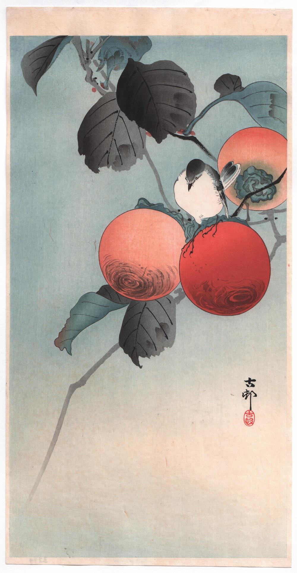 Ohara Koson Woodblock Print: Birds & Fruit, c.1910â€™s: Japanese woodblock print Artist: Ohara Koson. Subject: Nuthatcher & Persimmon Fruit. Date: 1910â€™s. Size: O-tanzaku design measures 7.5" x 14.5". Condition: Excellent impression, Good color.
