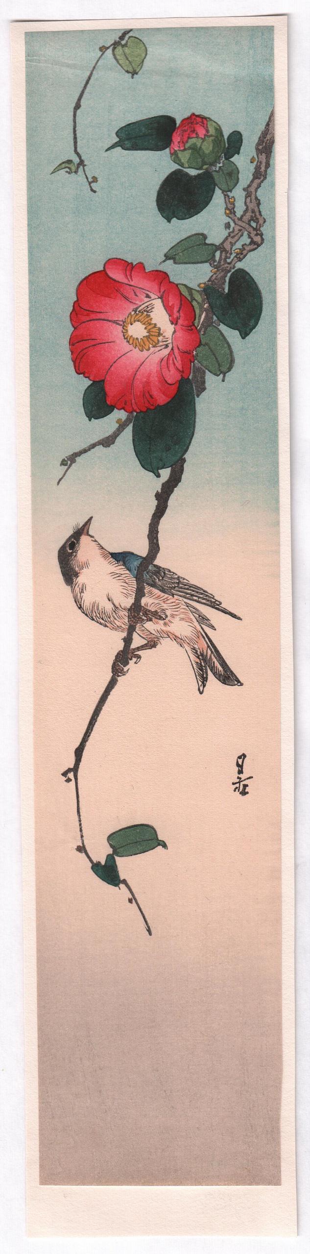 Yoshimoto Gesso - Bird on Red Camilia woodblock c1920: Japanese Woodblock print. Artist: Koho Shoda Subject: Bird on Red Camilia. Date: c1920-30's. Publisher: Hasegawa/Nishinomiya (original/vintage pre-War printing). Size: 3 x 14.5 inches. Condition: Exce