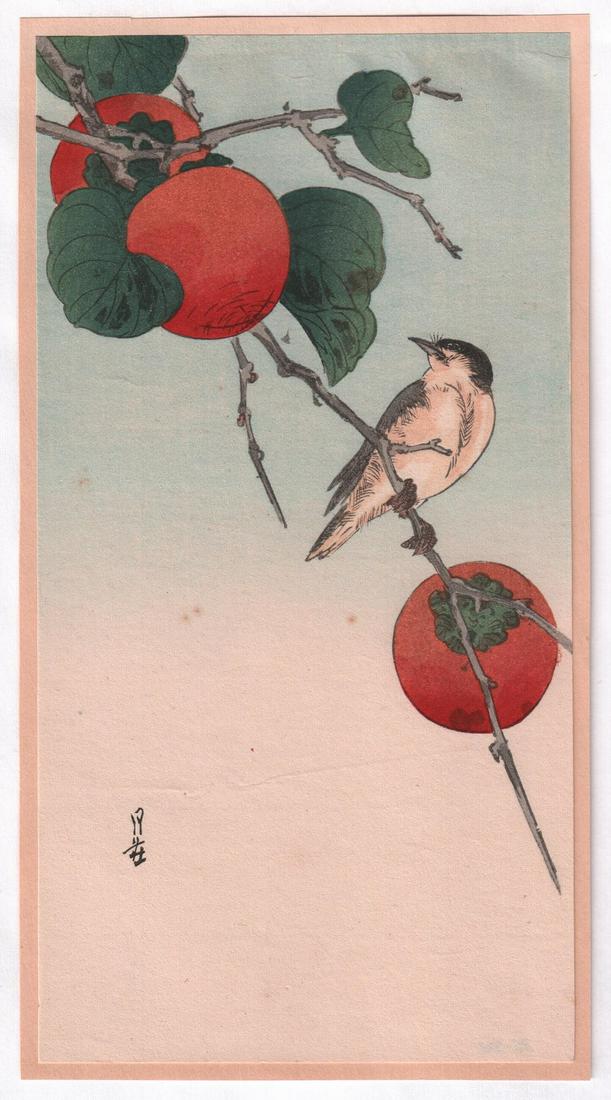 Yoshimoto Gesso - Bird on Persimmon woodblock c1920-30: Japanese Woodblock print. Artist: Koho Shoda Subject: Bird on Persimmon. Date: c1920-30's. Publisher: Hasegawa/Nishinomiya (original/vintage pre-War printing). Size: 5 x 9.5 inches. Condition: Fine co