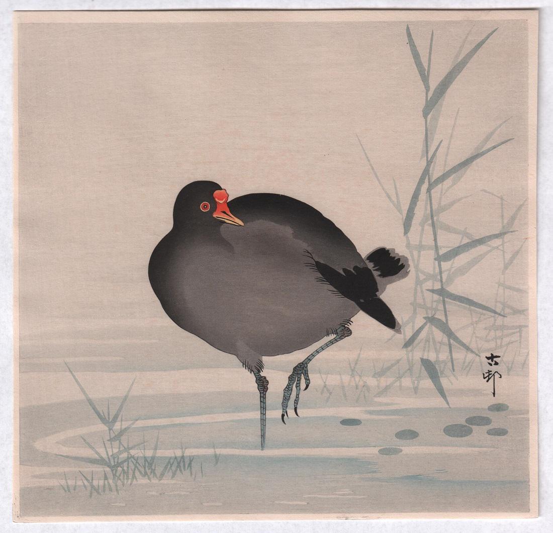 Ohara Koson - Gallinule in Reed Marsh c1930 Muller Est: Japanese woodblock print. ARTIST: Koson Ohara SUBJECT: Gallinule in Reed Marsh DATE: c1920/30's PUBLISHER: Nishinomiya Publisher SIZE IN INCHES: 9.75 x 9.5 CONDITION: Fine color, impression and condit