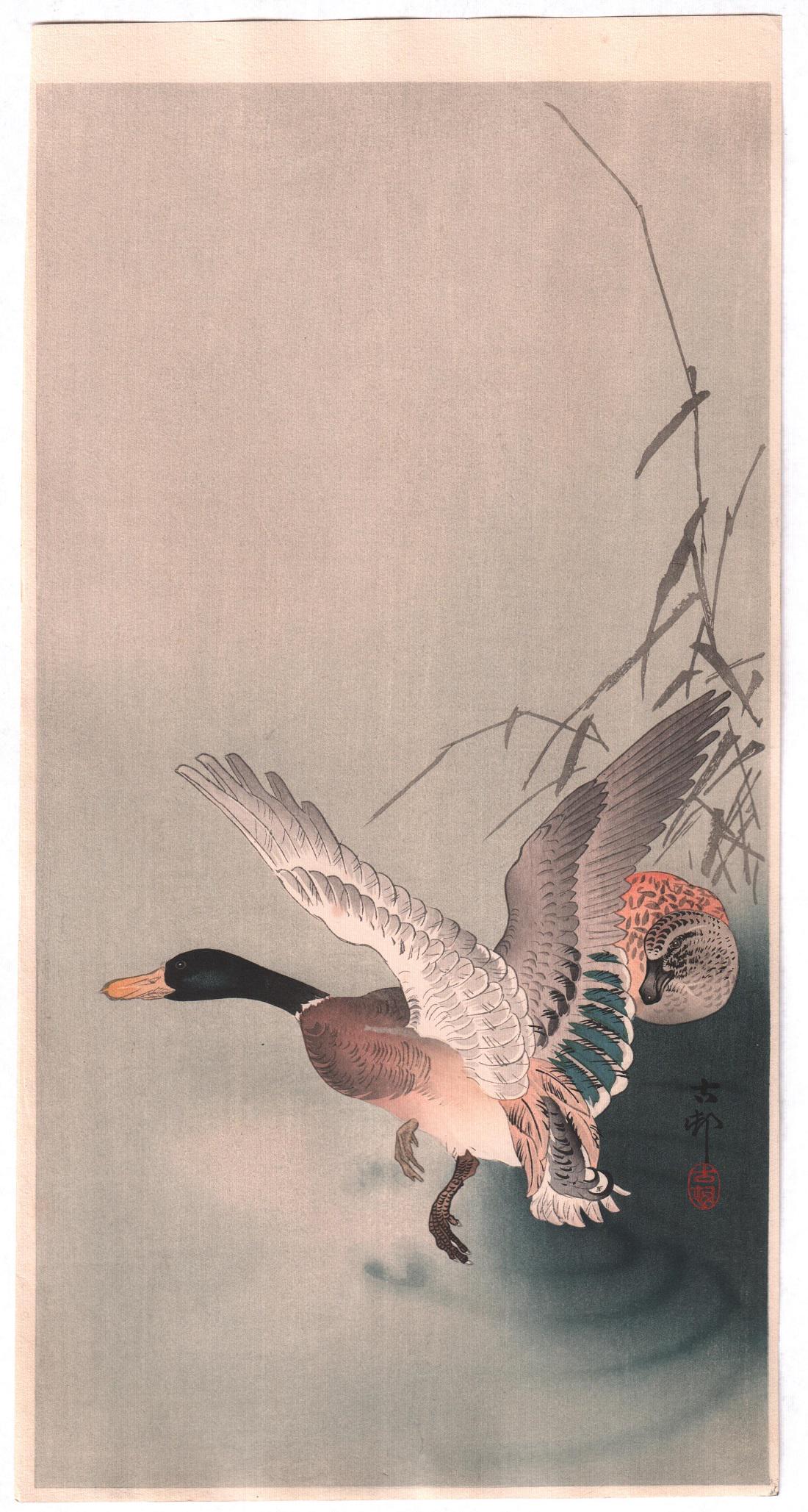 Ohara Koson woodblock: Mallard in flight, 1910s (1 of 2)