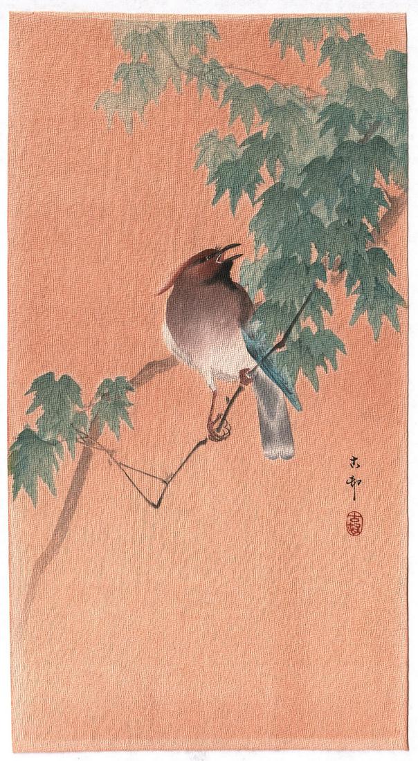 Ohara Koson Woodblock: Creped Bird on Branch Rare 1910 (1 of 2)