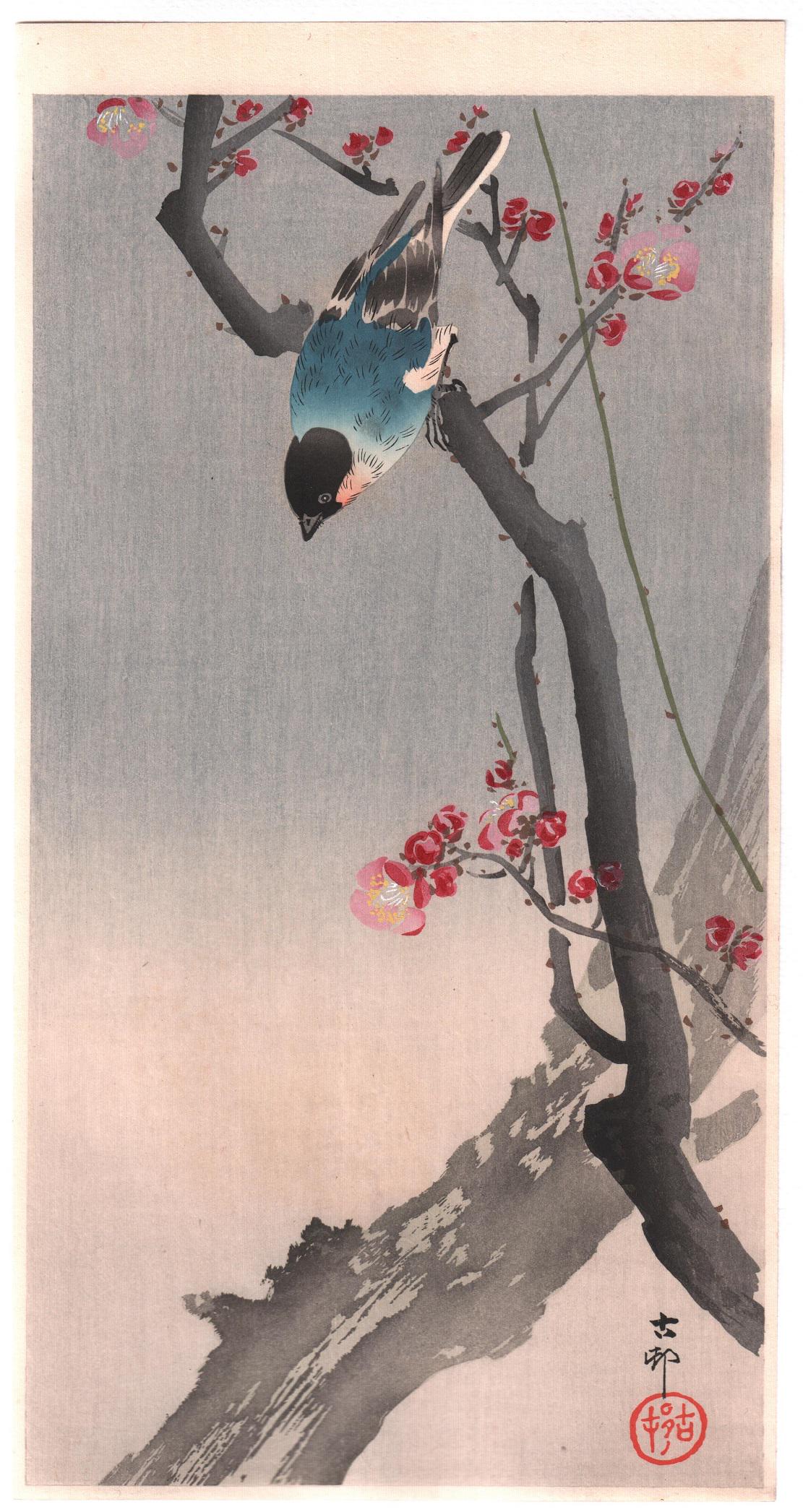 Ohara Koson Woodblock: Blue Bird on Plum Tree, 1910s (1 of 2)