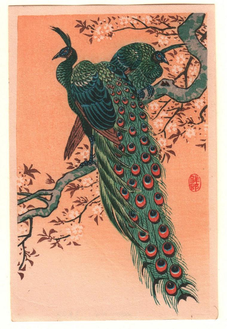 Ohara Koson Woodblock Print: Peacock, c1930s, NR (1 of 2)