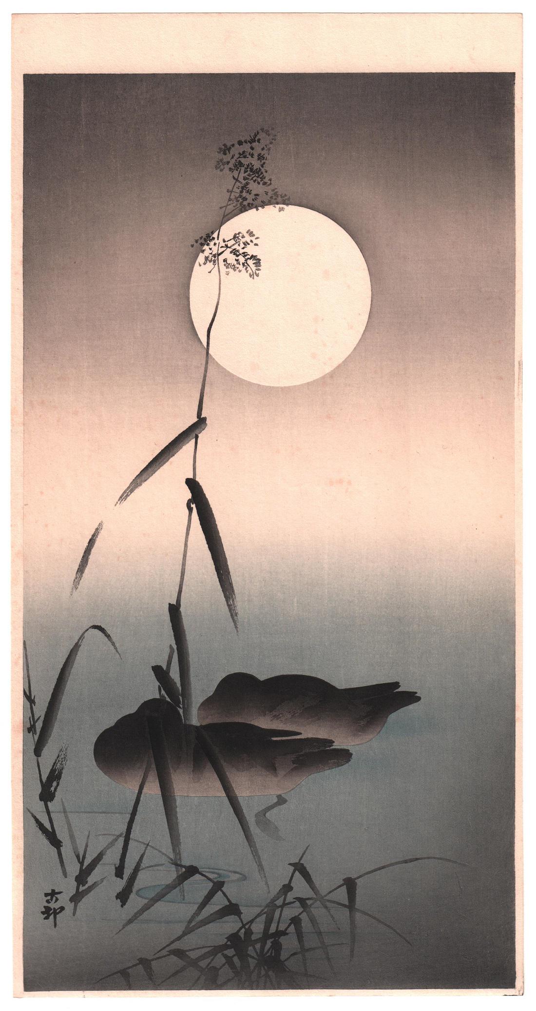 Koson Ohara - Sleeping Ducks Full Moon 1920s NR: Japanese Woodblock print. ARTIST: Koson Ohara SUBJECT: Sleeping Ducks Full Moon DATE: c1920s, original print. PUBLISHER: Daikoku-ya Publisher SIZE IN INCHES: 7.5 x 14.25 CONDITION: Excellent colors an