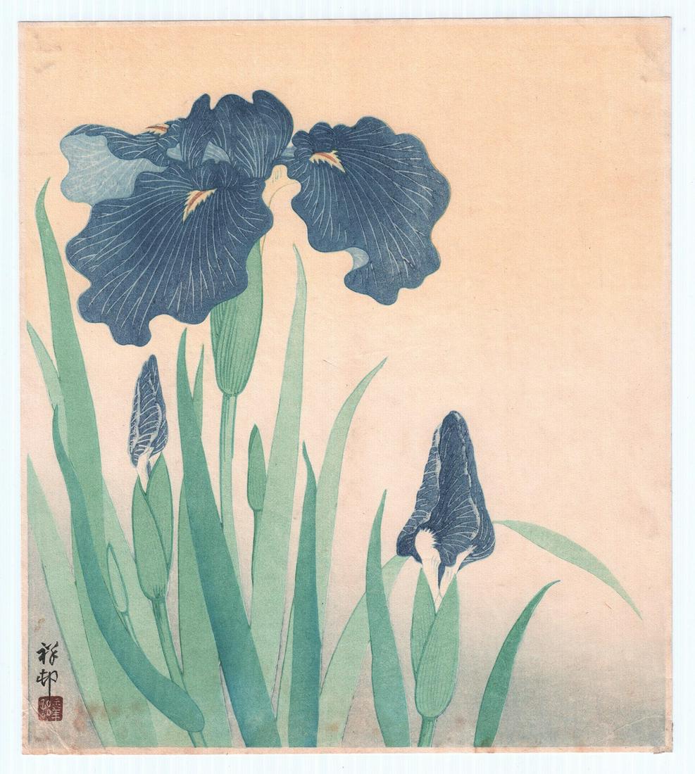 Ohara Koson Woodblock Print: Iris Flowers, 1930s  NR (1 of 2)