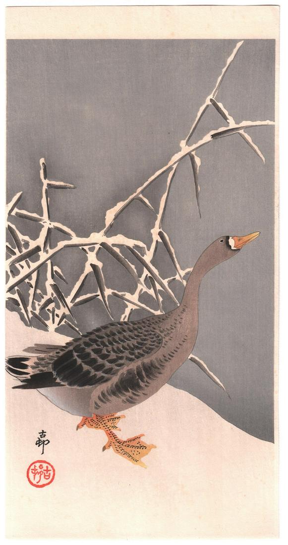 Koson Ohara - Goose and Snowy Reeds c1920 NR: Japanese woodblock print ARTIST: Koson Ohara SUBJECT: Goose and Snowy Reeds. DATE: 1920's. PUBLISHER: Daikokuya Publisher SIZE IN INCHES: 7.25 x 14.5 CONDITION: Excellent colors, impression, and condi