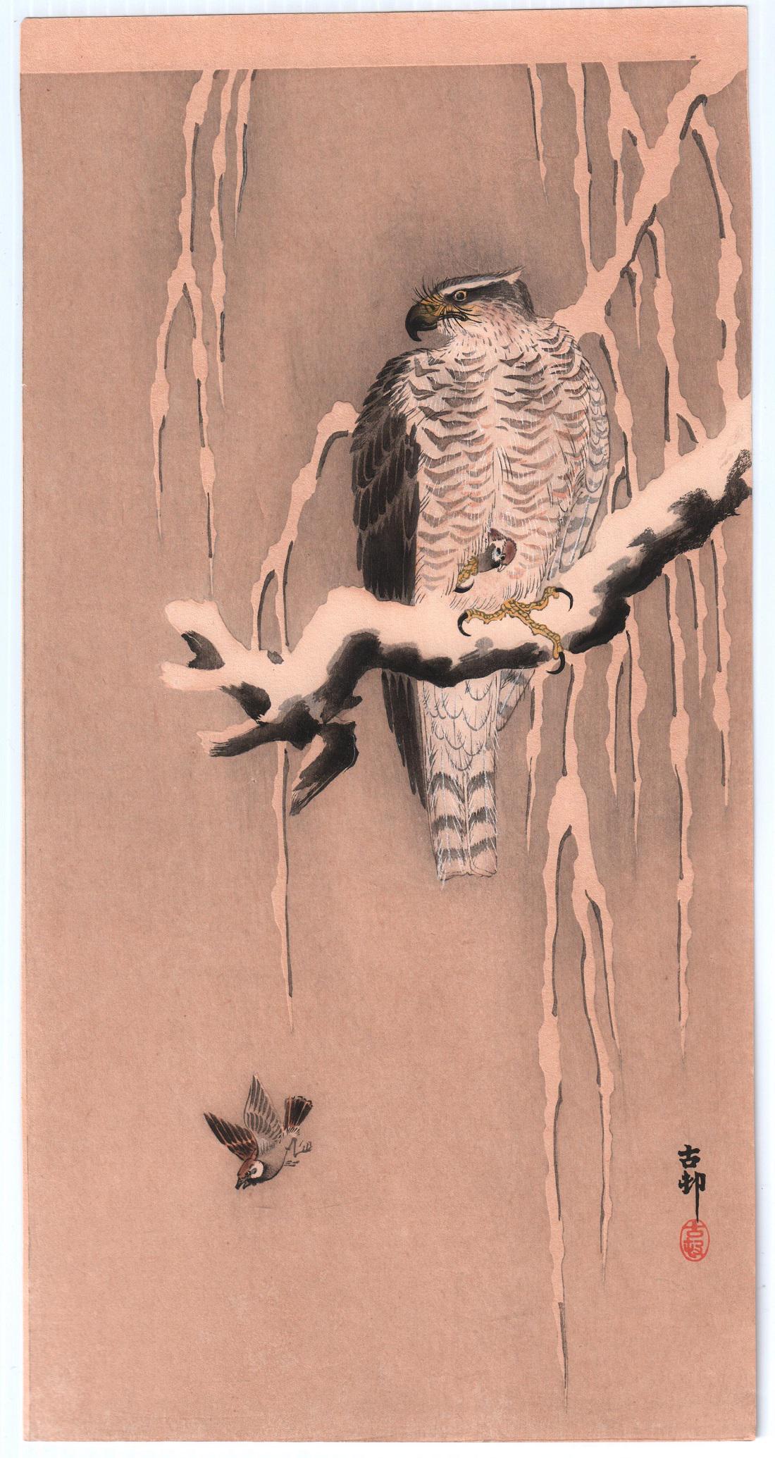 Koson Ohara - Goshawk Clutching a Sparrow c1900/23 RARE (1 of 2)