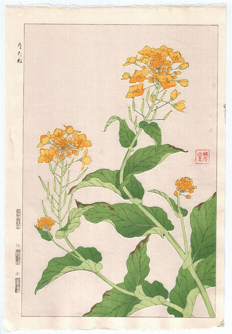 Shodo Woodblock Print: Yellow Flowers, c1950s, NR (1 of 2)
