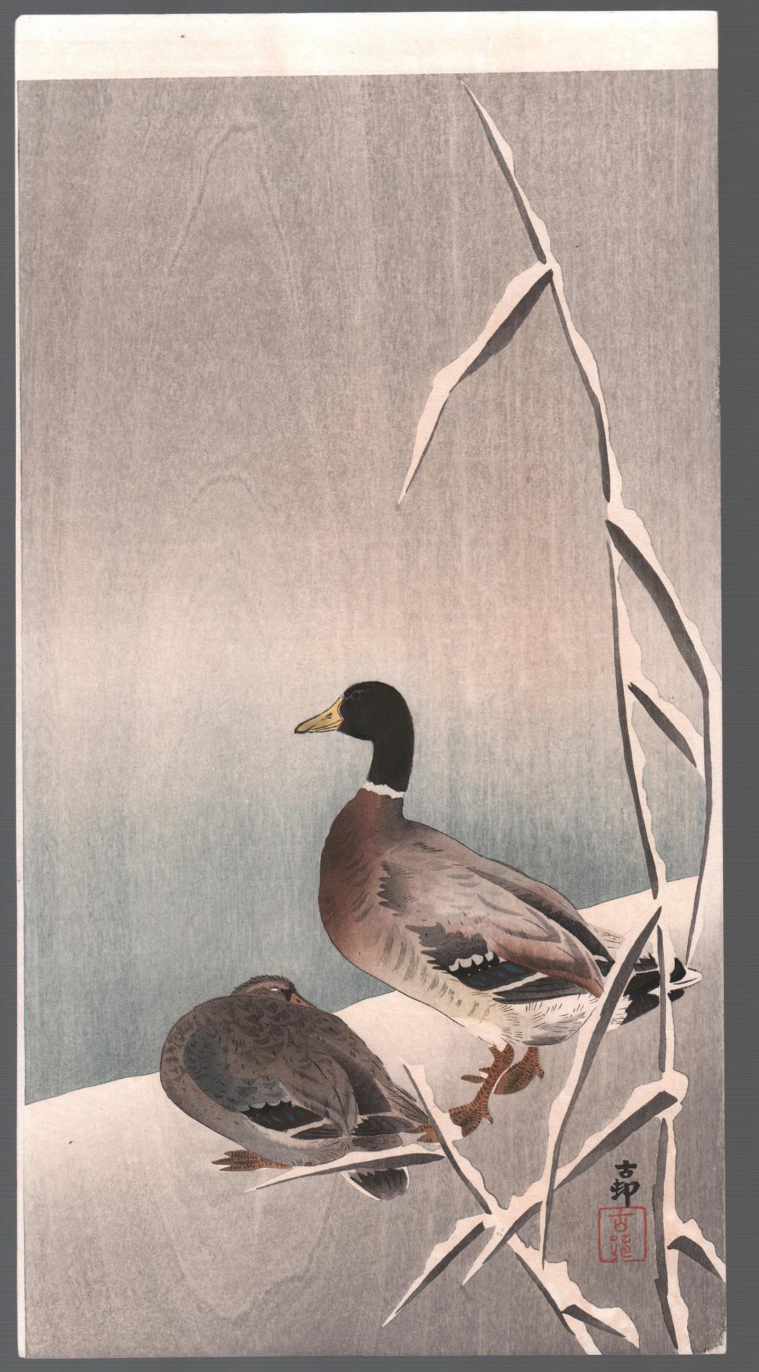 Koson Ohara - Mallards in Snow c1910 woodblock RARE NR: Japanese woodblock print. ARTIST: Koson Ohara SUBJECT: Mallards in Snow DATE: c1910/23 PUBLISHER: Diakokuya Publisher (Tokyo, 1818-1923 Earthquake) SIZE IN INCHES: 7.5 x 14.5 CONDITION: Fine color, im