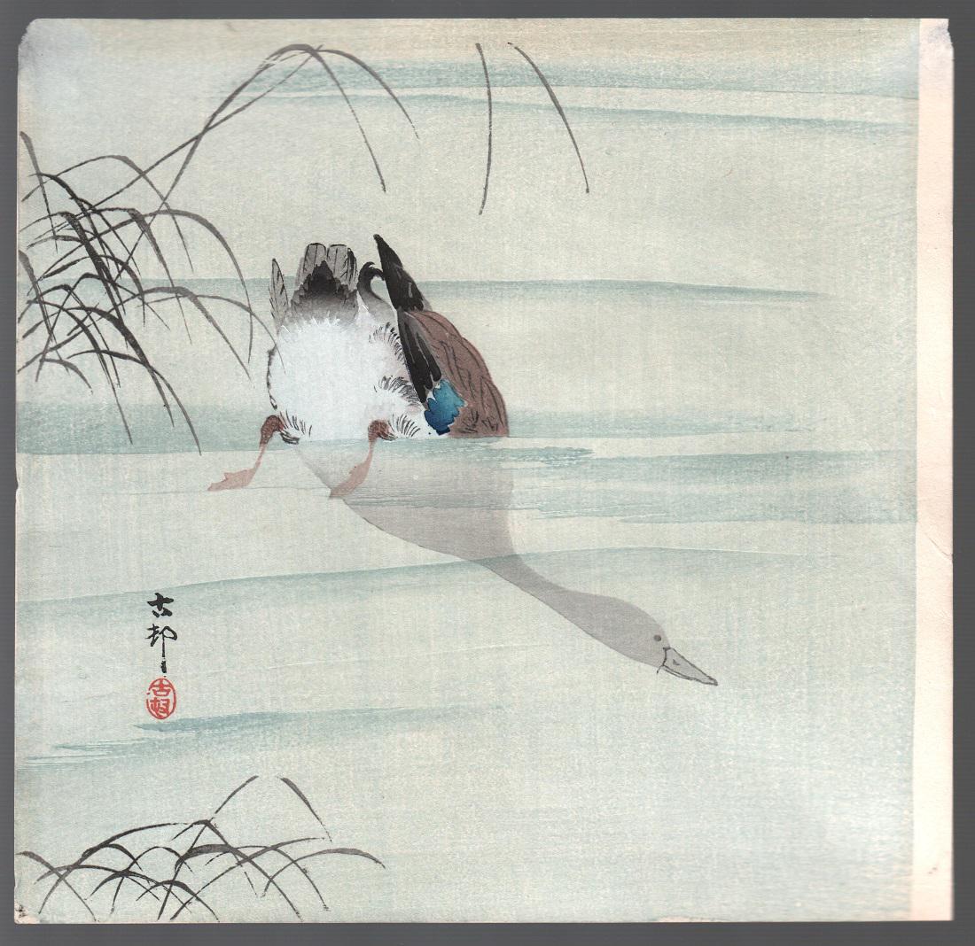 Koson Woodblock Print: Diving Mallard, c1910s NR: Japanese woodblock print. Artist: Ohara Koson Subject: Diving Mallard in Reeds. Date: c. 1910s. Size: Measures 9.5” x 9.75". Condition: Very good color and impression. Some thinning to top corne
