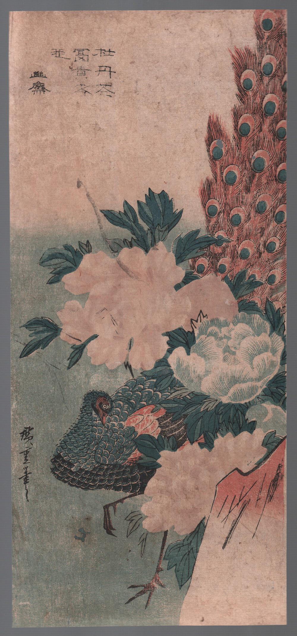 Hiroshige Woodblock: Peacock and Peonies, c1830 NR: Japanese woodblock print. Artist: Ando Hiroshige Subject: Peacock and Peonies Katcho-e. Date: c1830. Size: Measures 6.5” x 14.75". Condition: Good impression, fading to color, overall toning and