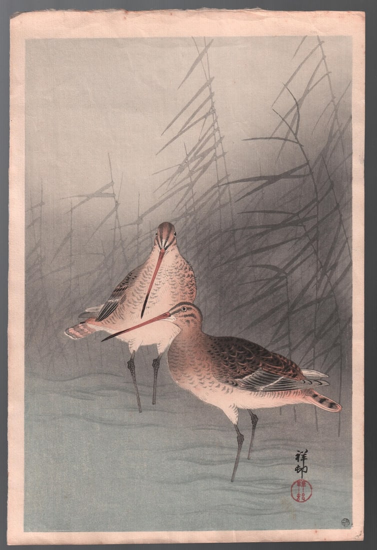 Ohara Koson Woodblock: Snipes and Reeds 1926 NR: Japanese Woodblock Print. Artist: Ohara Koson (signed Shoson). Subject: Snipes and Reeds. Date: 1926. Publisher: Bears Watanabe round 6mm seal (a mid-century impression). Size: Oban design measures: 1