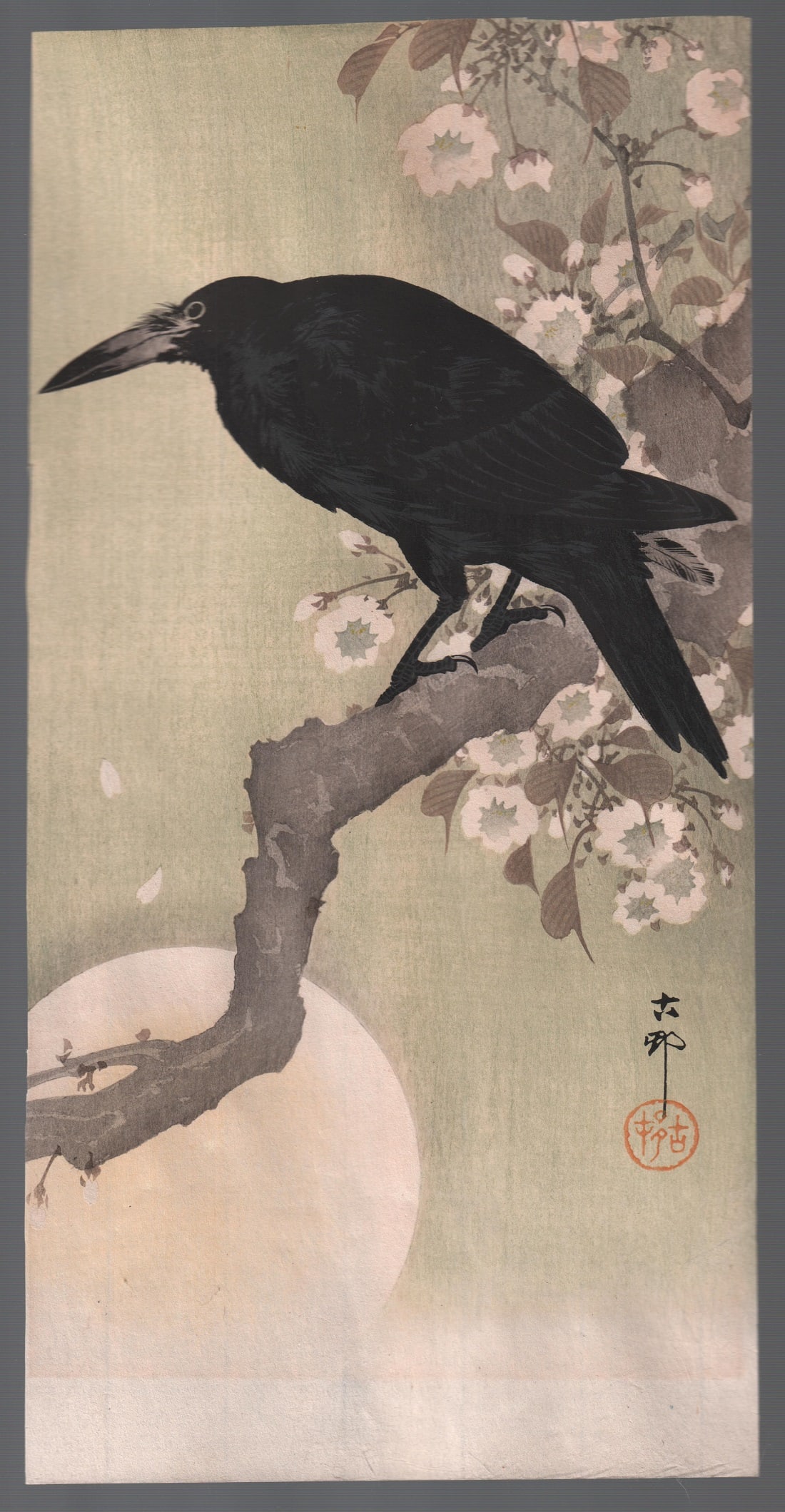 Ohara Koson Woodblock: Crow, Cherry Blossoms c1910s (1 of 3)