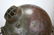 1919 AJ Morse Antique Diving Helmet - Amazing Patina - 12