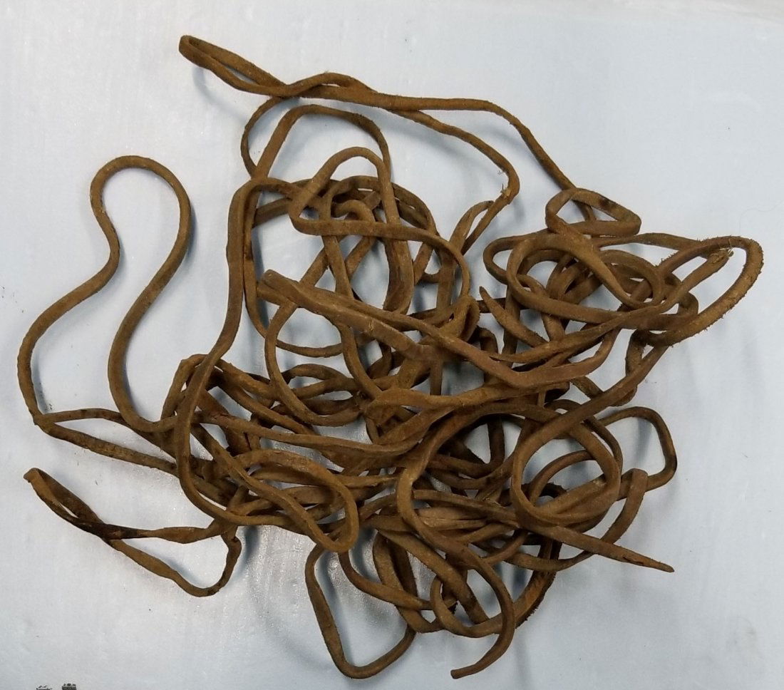 Vintage Divers Dress / Suit Leather Laces: Lot of leather laces used on canvas divers dress. Leather is dry on most lengths.