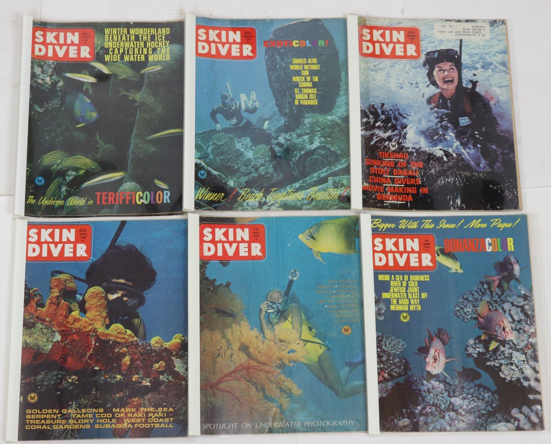 Entire Year of 1965 Skin Diver Magazines: Entire year of 1965 run of the classic Skin Diver magazine. This year and others in the auction from a long-time collection. It should be assumed all covers and interior page have signs of wear & age.