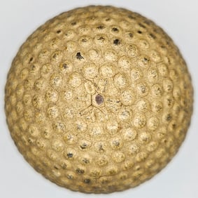 Why Not Henley's Tyre & Rubber Co Bramble Antique Golf Ball