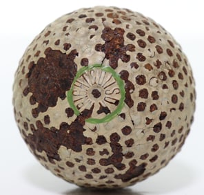 Wright Ditson Bramble Pattern Antique Golf Ball 1900s