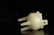 CHINESE WHITE JADE CARVED PHONEXI CENSER MING DYNASTY - 7