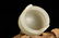CHINESE WHITE JADE CARVED PHONEXI CENSER MING DYNASTY - 9