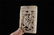 CHINESE WHITE CARVED JADE CHILD PENDANT MING DYNASTY - 8