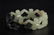 CHINESE WHITE CARVED JADE BRACELET MING DYNASTY - 3