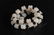 CHINESE WHITE JADE CARVED LOTUS SEED NECKLACE QING - 3