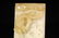 CHINESE WHITE JADE CARVED DRAGON PHONEXI PENDANT - 8