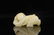 CHINESE WHITE JADE CARVED CHILD PENDANT QING DYNASTY