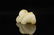 CHINESE WHITE JADE CARVED CHILD PENDANT QING DYNASTY - 2