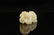 CHINESE WHITE JADE CARVED CHILD PENDANT QING DYNASTY - 3