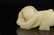 CHINESE WHITE JADE CARVED CHILD PENDANT QING DYNASTY - 5