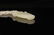CHINESE WHITE JADE CARVED NECKLACE VASE PENDANT QING - 9