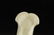 CHINESE WHITE JADE CARVED HORSE HEAD HILT QING - 7