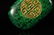 CHINESE CARVED JADE BELT BUCKLE QING DYNASTY