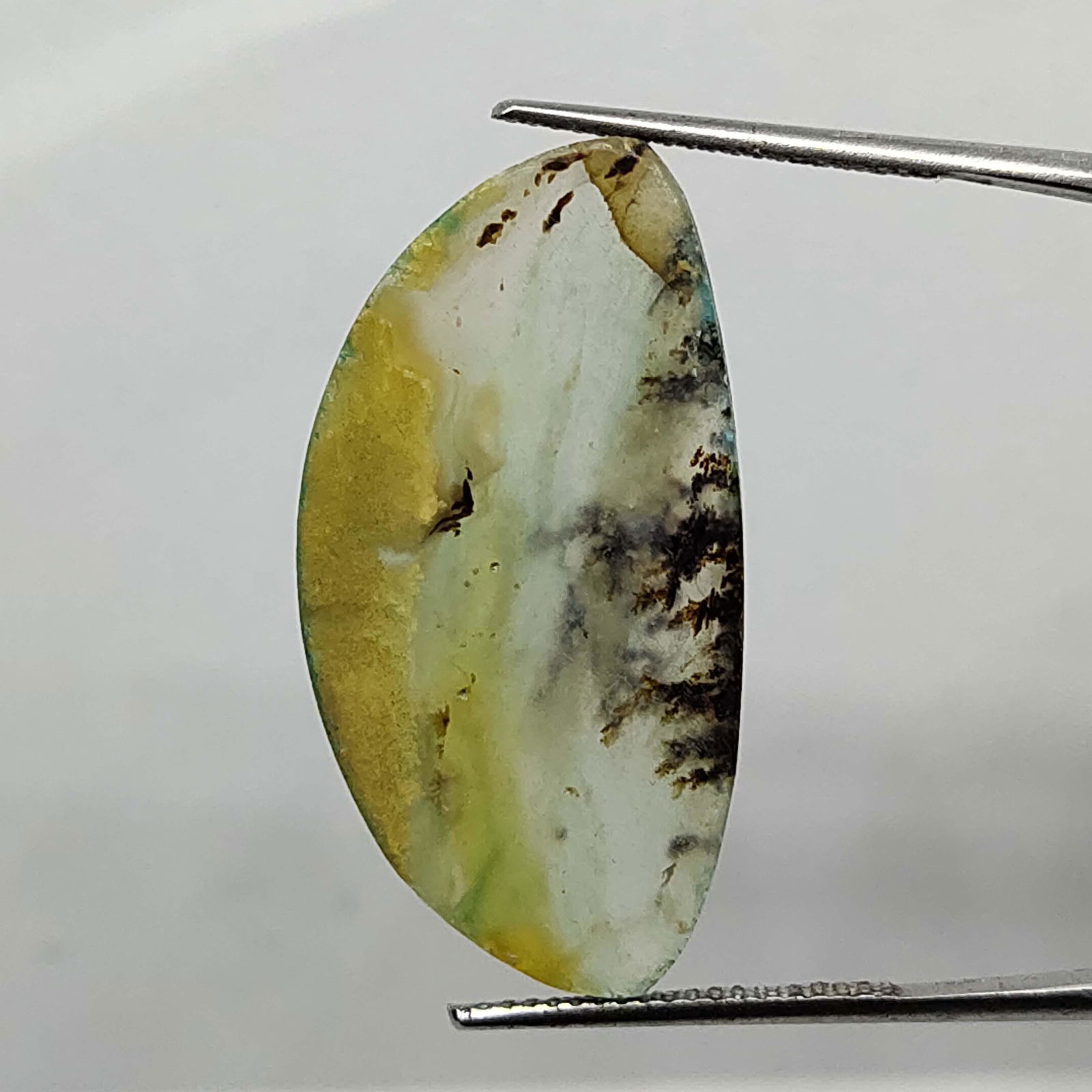21.9 ct Natural Dendritic Agate (1 of 4)