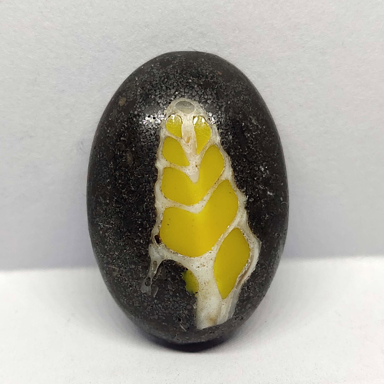 20.10 ct Natural Fossil Tower Stone (1 of 6)