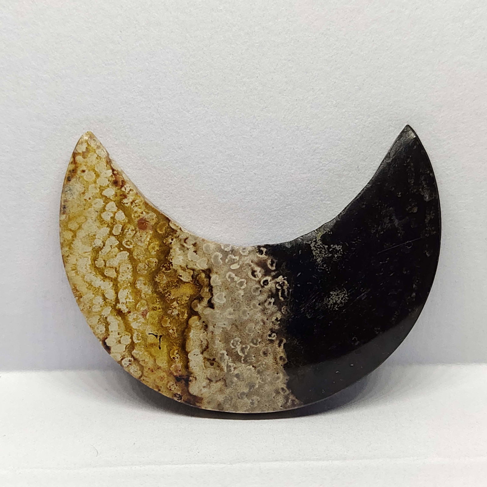 30.50 ct Natural Indonesian Palm Root Fossil: Natural Palm Root Fossil with an exact weight is 30.50 ct.Top Quality stone