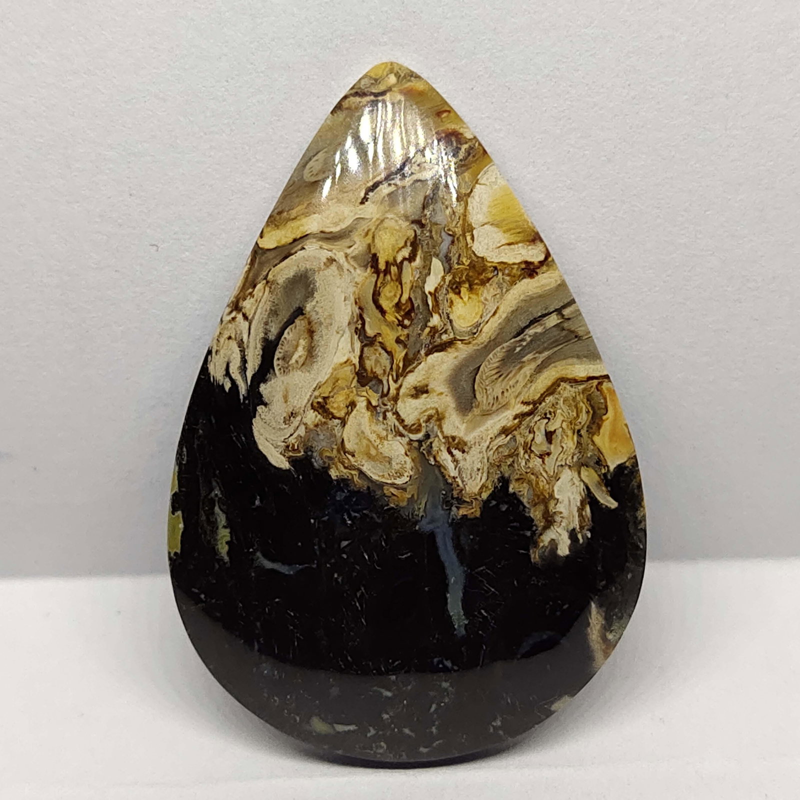 46.30 Natural Indonesian Palm Root Fossil: Natural Pam Root Fossil with an exact weight is 46.30 ct.Top Quality stone