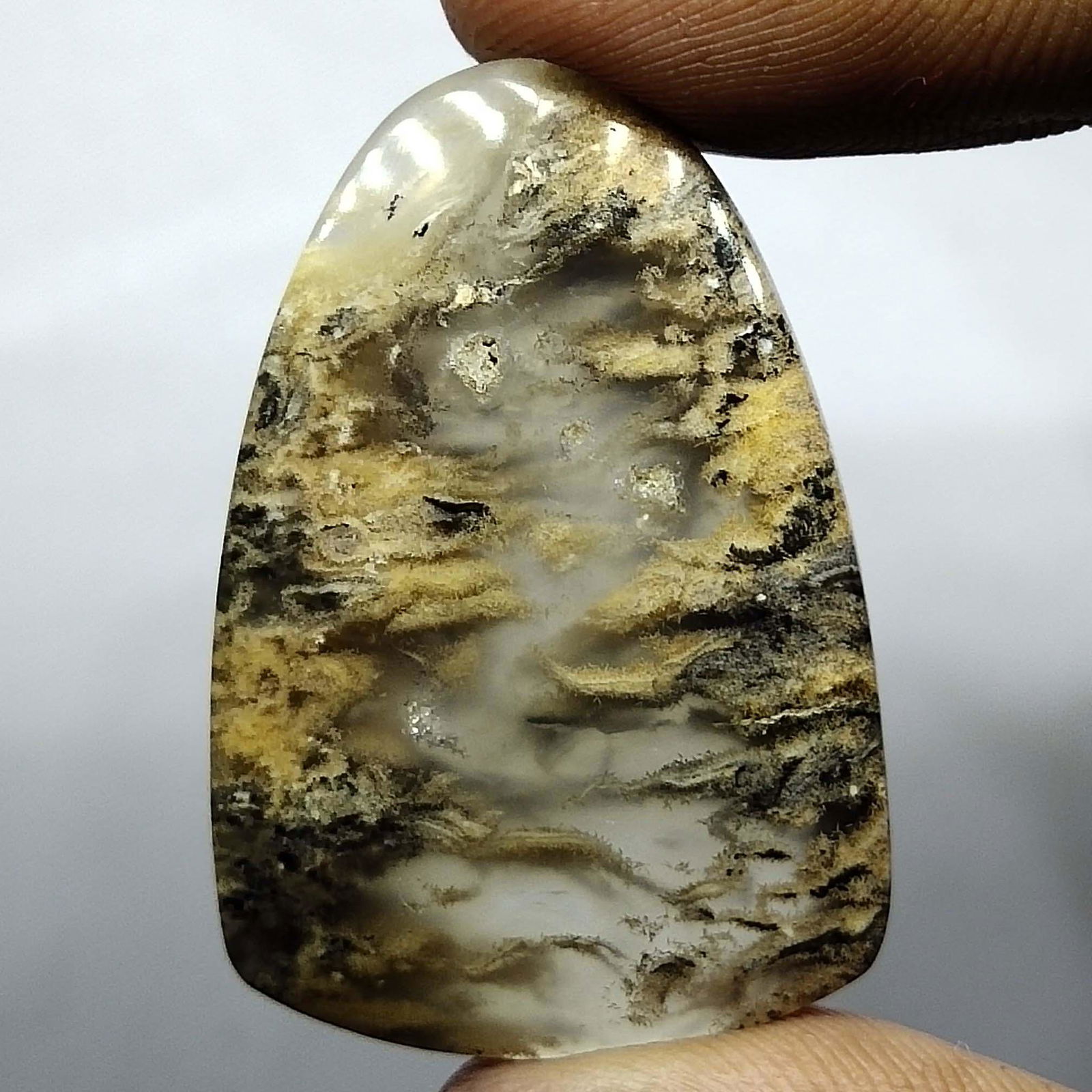 37.2 ct Natural Tiger Dendrite agat (1 of 6)