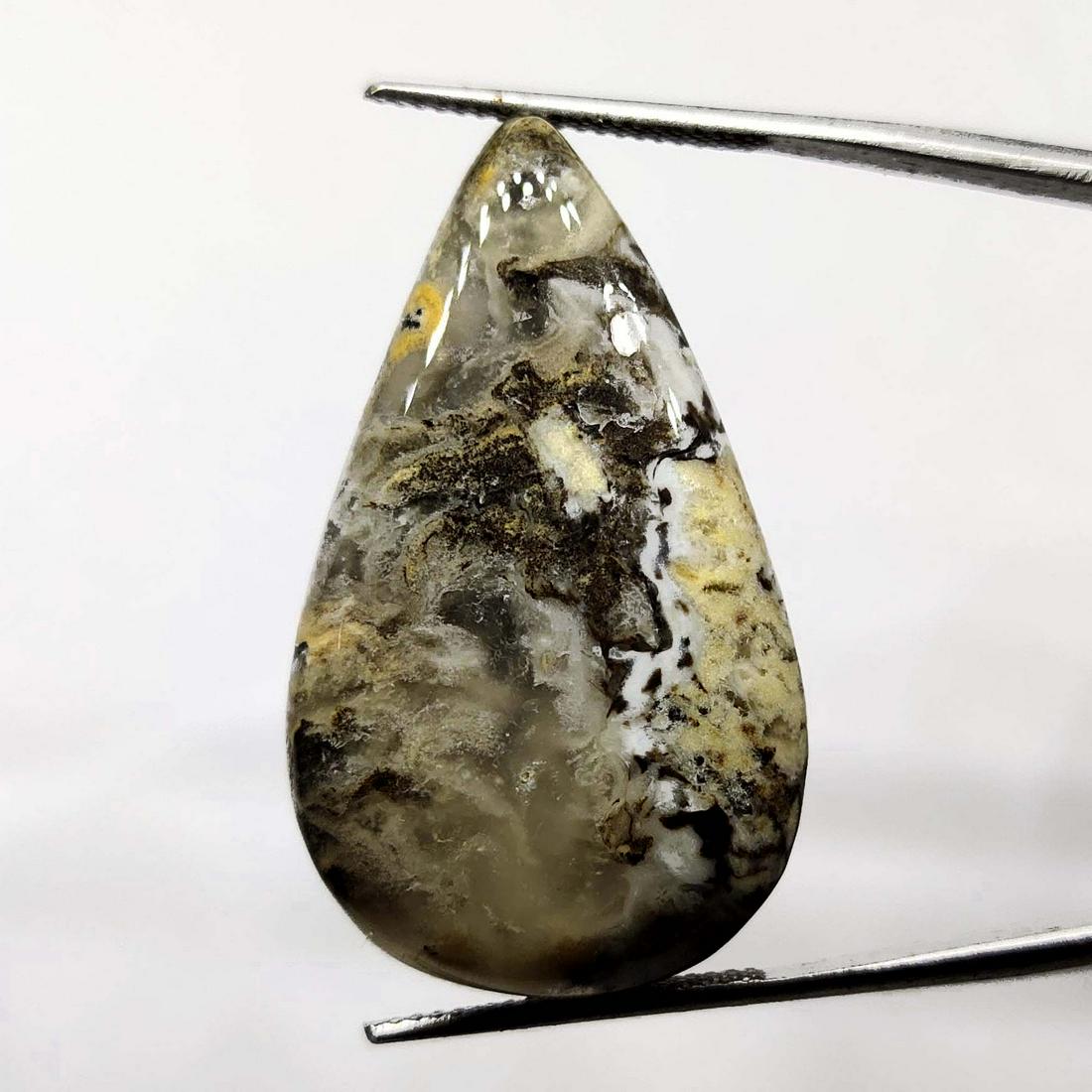 36.30 ct Natural Tiger Dendrite Agate (1 of 3)